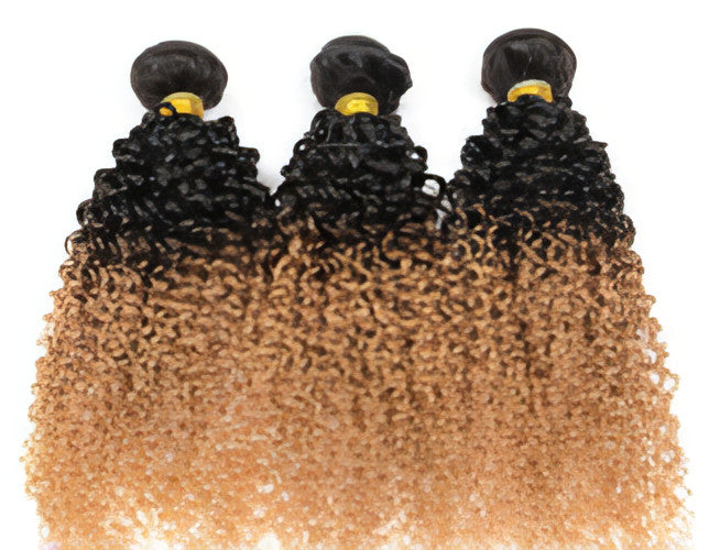 TrueTress Real Human Hair Extensions Human Hair Extension Gradient Wig