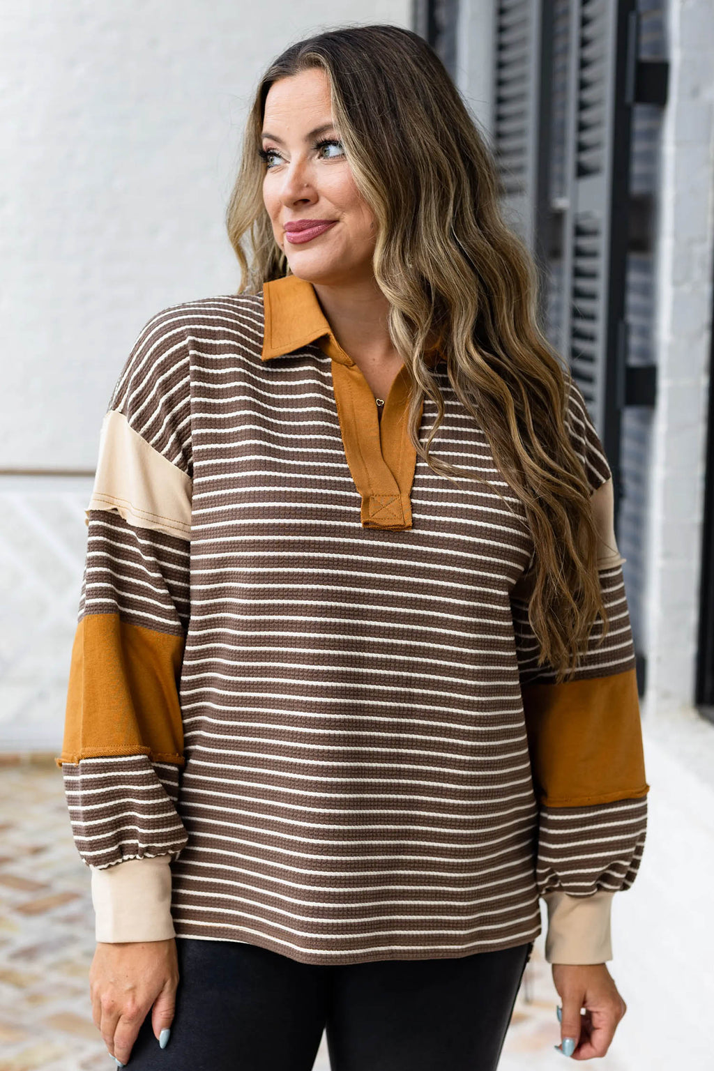 Brown Stripe Colorblock Detail Collar V Neck Plus Size Long Sleeve Top