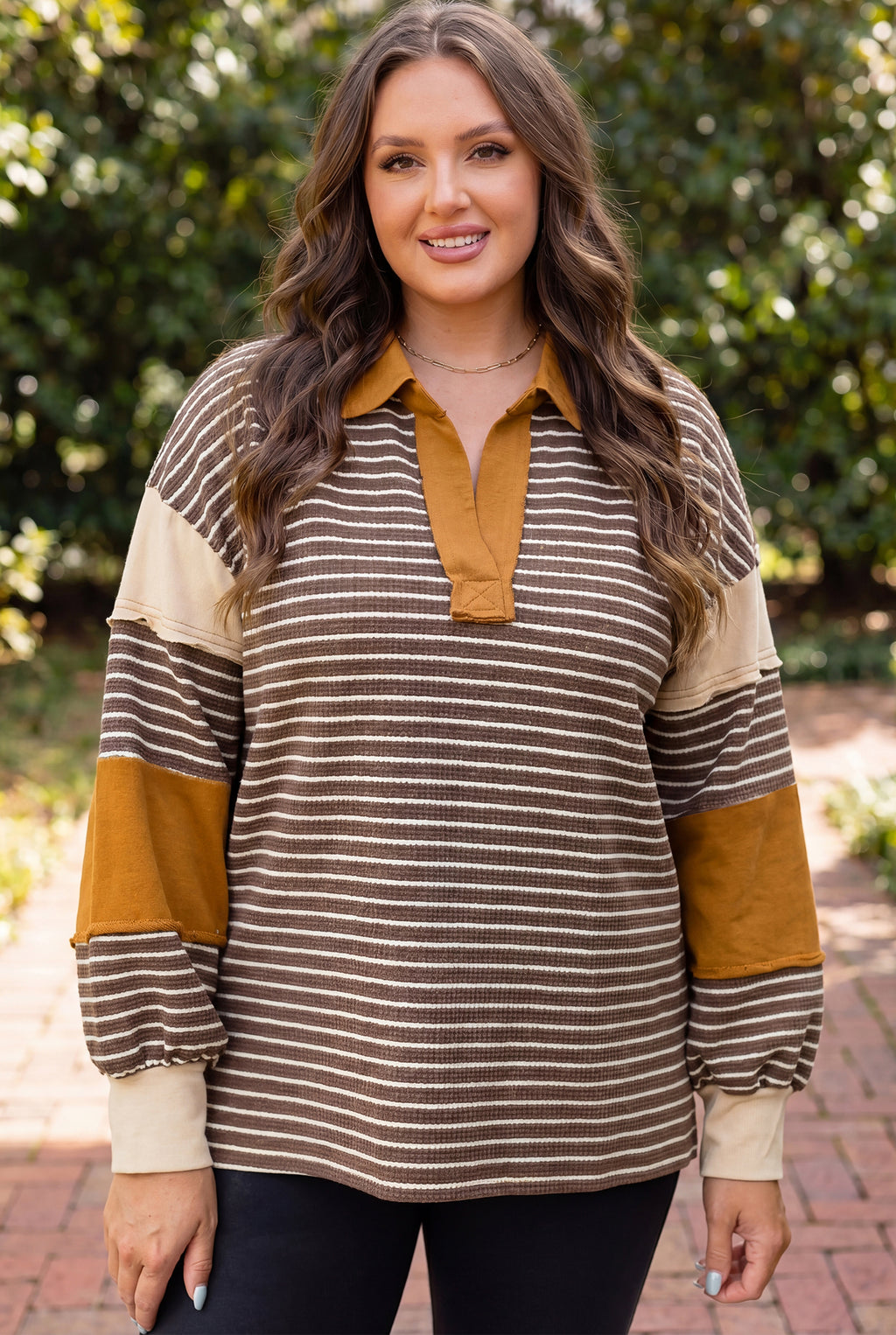 Brown Stripe Colorblock Detail Collar V Neck Plus Size Long Sleeve Top