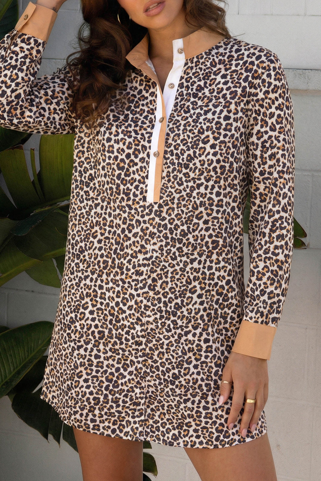 Multicolour Button Striped Collar Leopard Print Long Sleeve Flared Dress