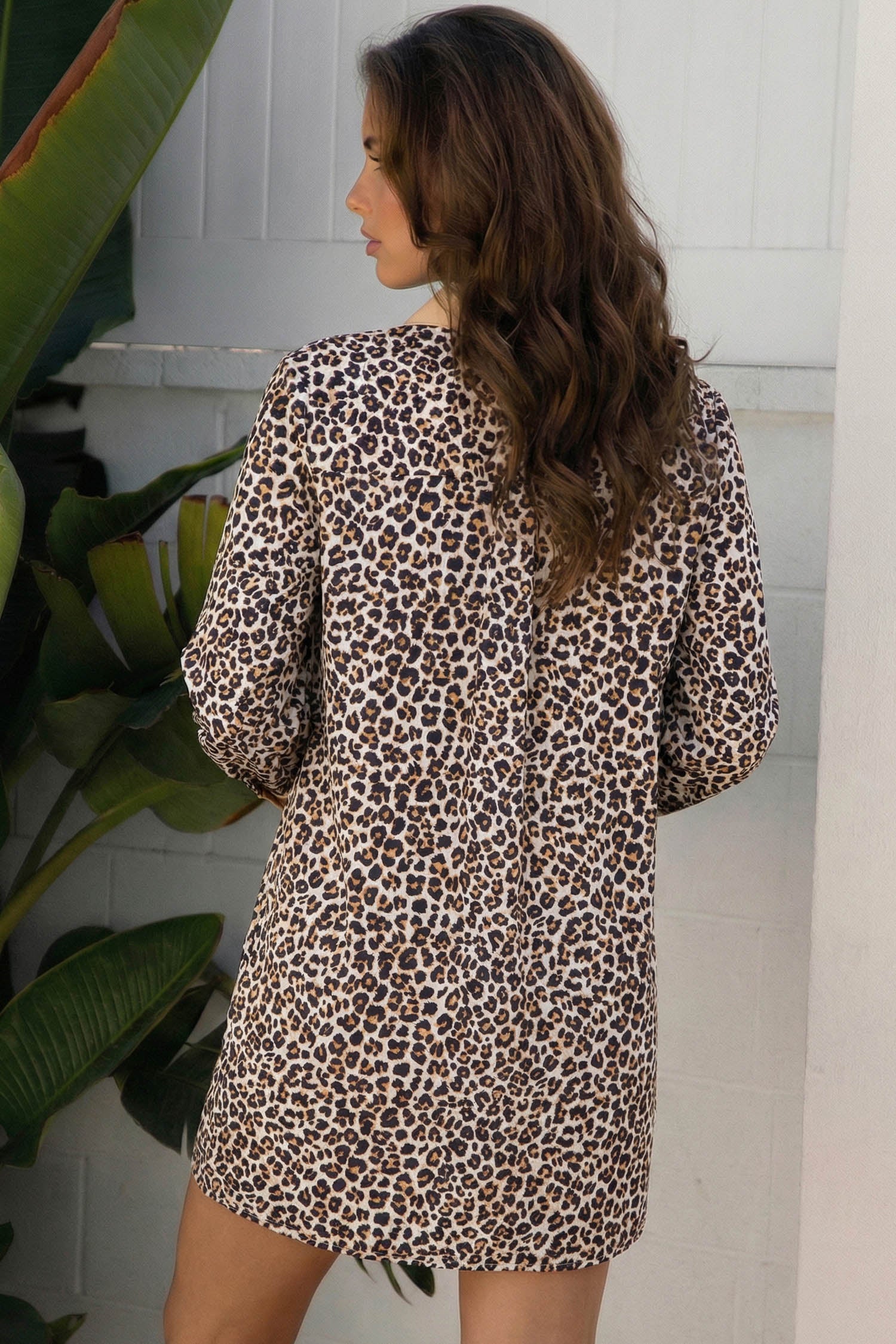 Multicolour Button Striped Collar Leopard Print Long Sleeve Flared Dress