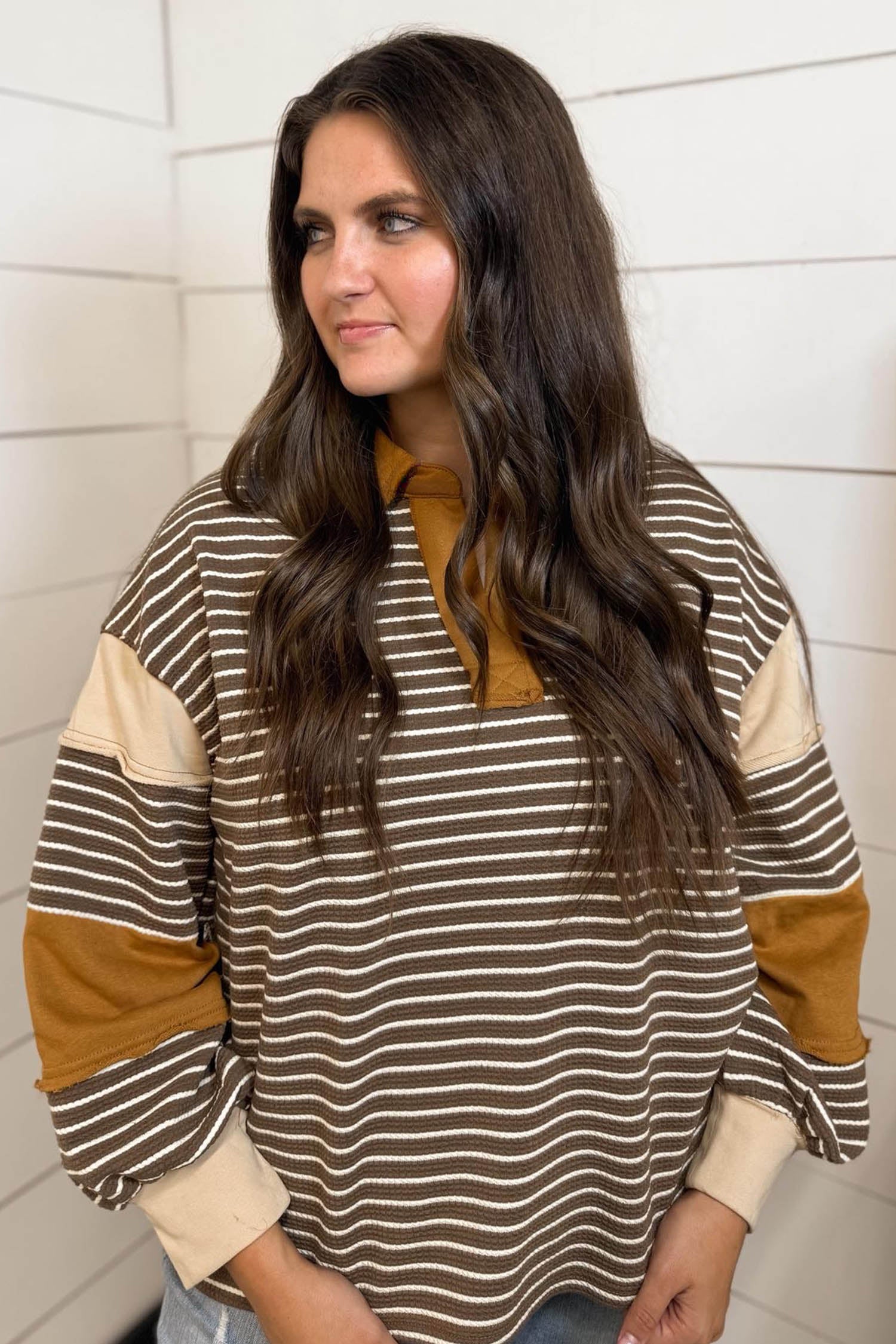 Brown Stripe Colorblock Detail Collar V Neck Plus Size Long Sleeve Top