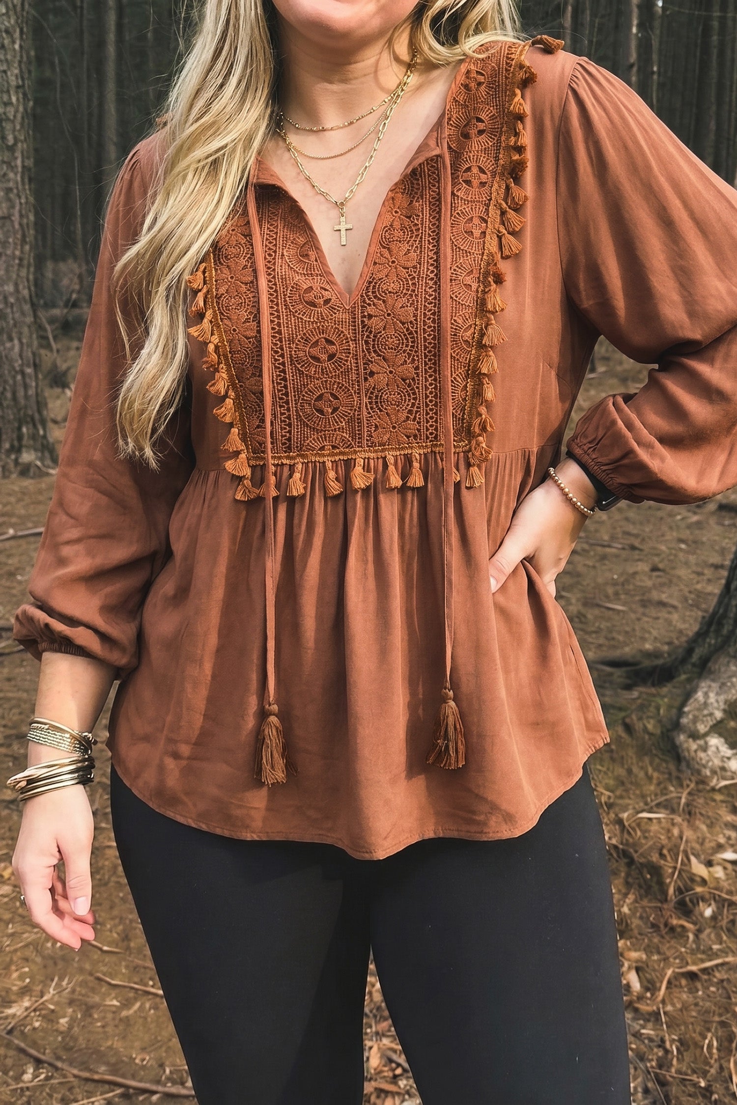 Chestnut Boho V Neck Embroidered Tassel Long Sleeve Plus Size Blouse