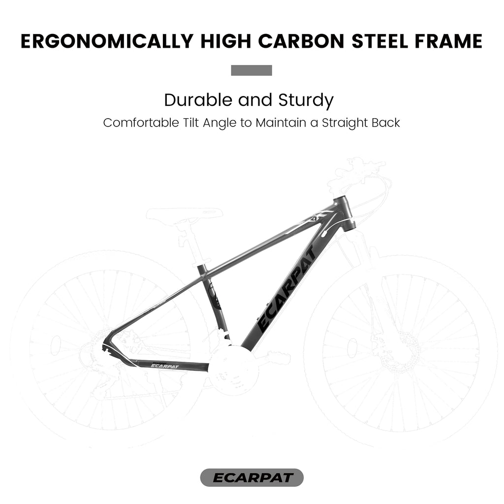 Ecarpat™ City-Cruizer – 29" Pro-Series Mountain Bike (21-Speed) - enhanced image 3