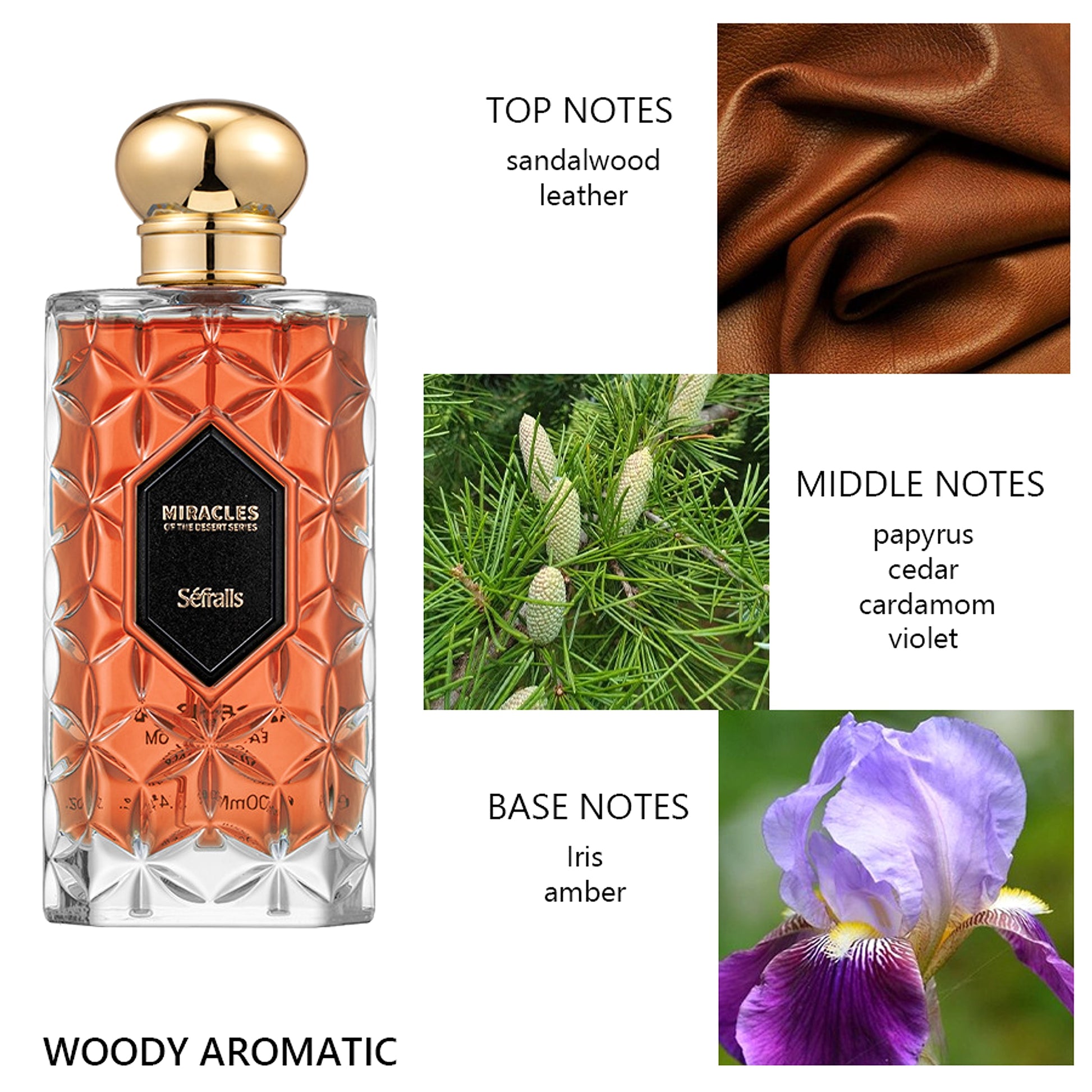 A.1. Miracles Parfum - Sports Long-lasting Light Perfume Men - enhanced image 3