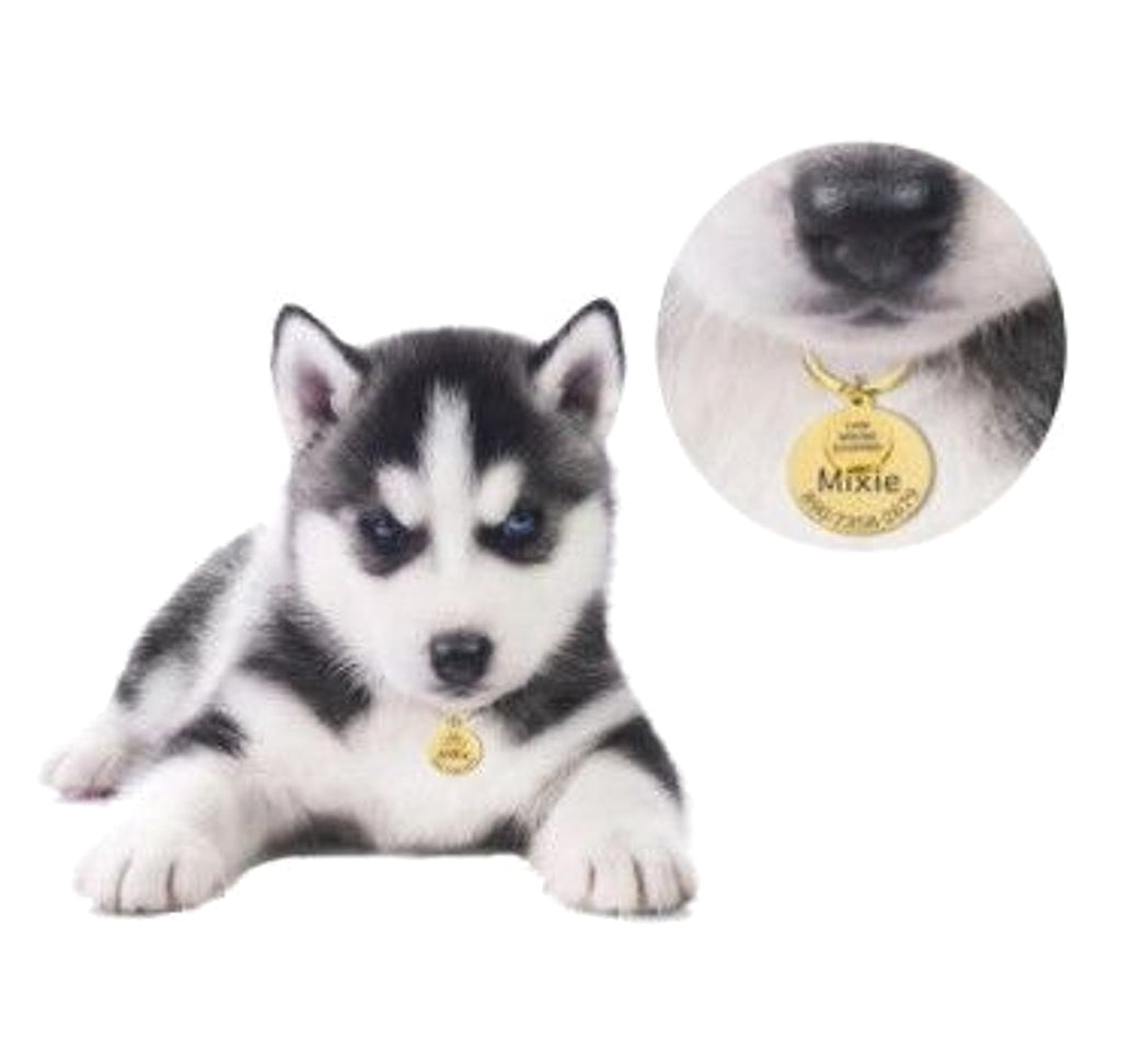 Engraved Anti-Lost Pet ID Tag – Keep Your Furry Friend Safe! - enhanced image 4