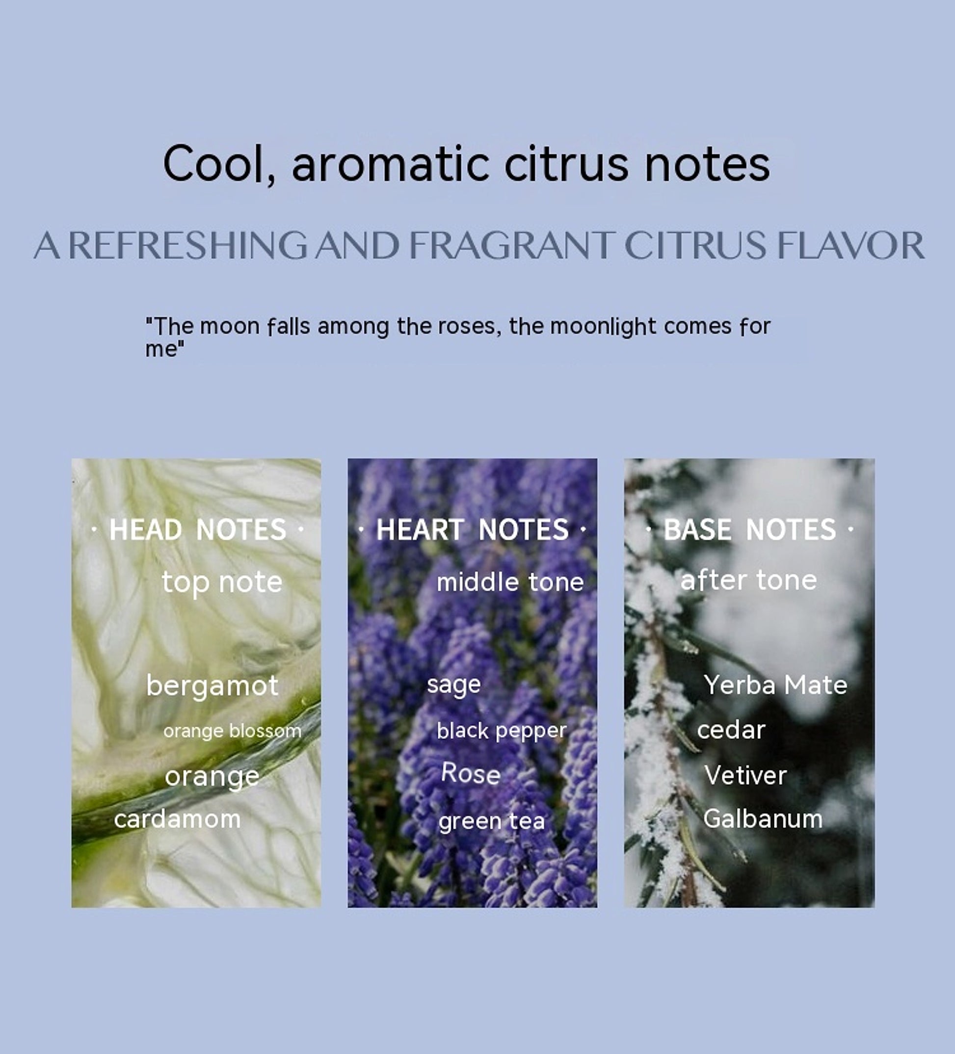 Aromatic Citrus – Moonlight Elegance in a Bottle - enhanced image 5