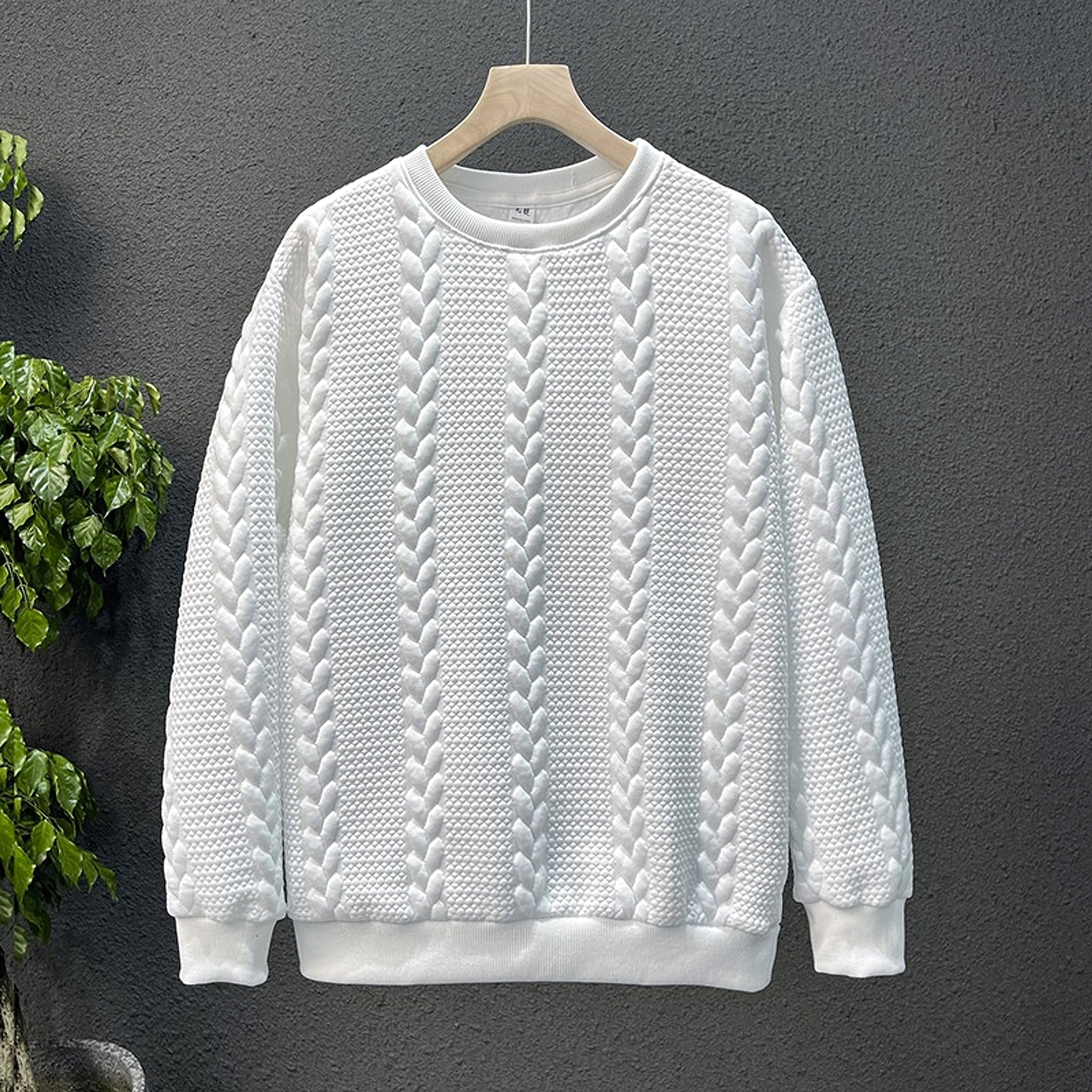High Sense Internet Hot Fashion Brand Brushed Hoody Men - enhanced image 5