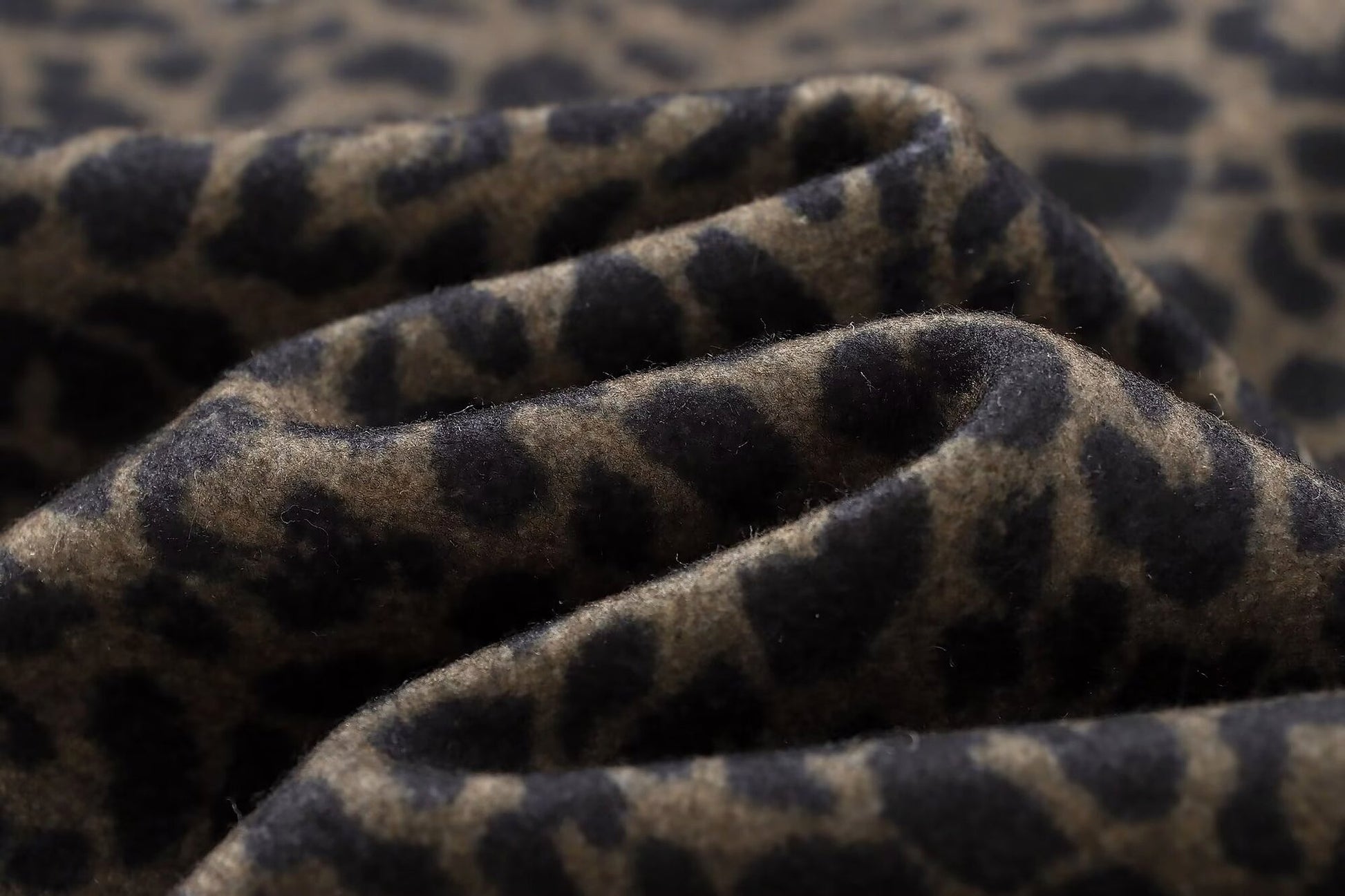 Leopard Statement Coat – Haute Edition 25 - enhanced image 6