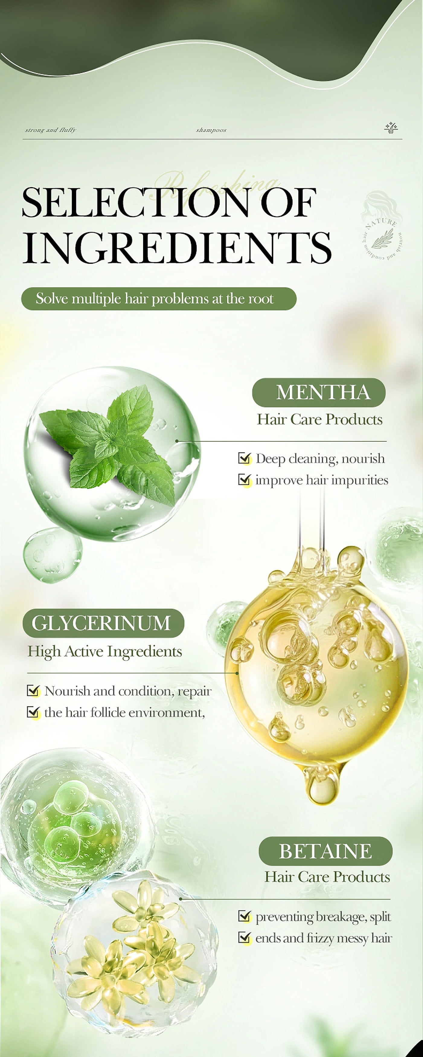 Rosemary Mint Shampoo – Refresh. Strengthen. Naturally Clear. - enhanced image 6